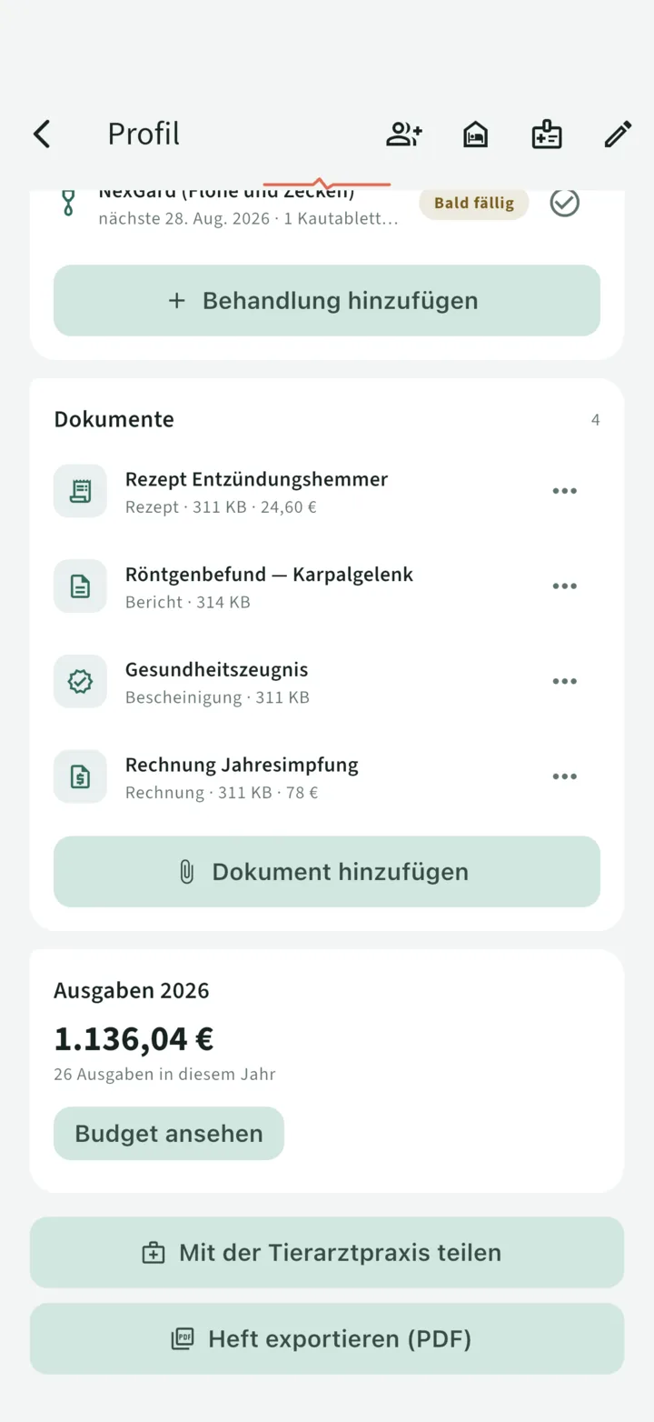 Die Dokumente des Hefts: Rezept, Röntgenbericht, Rechnung und Bescheinigung, mit ihren Beträgen im Budget