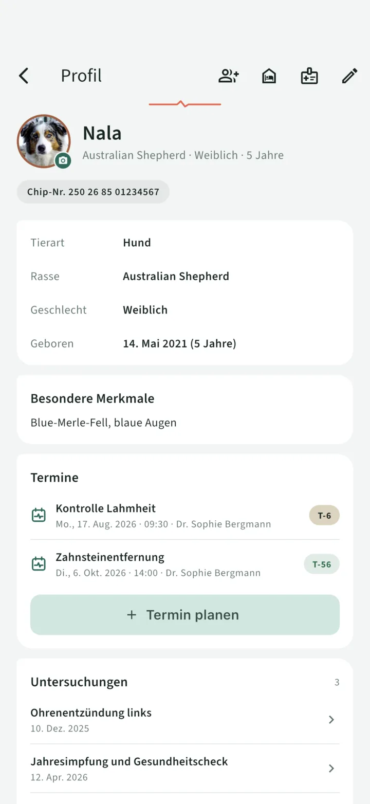 Nalas Profil: ihr Foto, Australian Shepherd, weiblich, 5 Jahre, Chipnummer und die nächsten beiden Termine