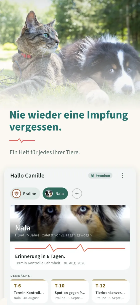Tafel 1 — Nie wieder eine Impfung vergessen.