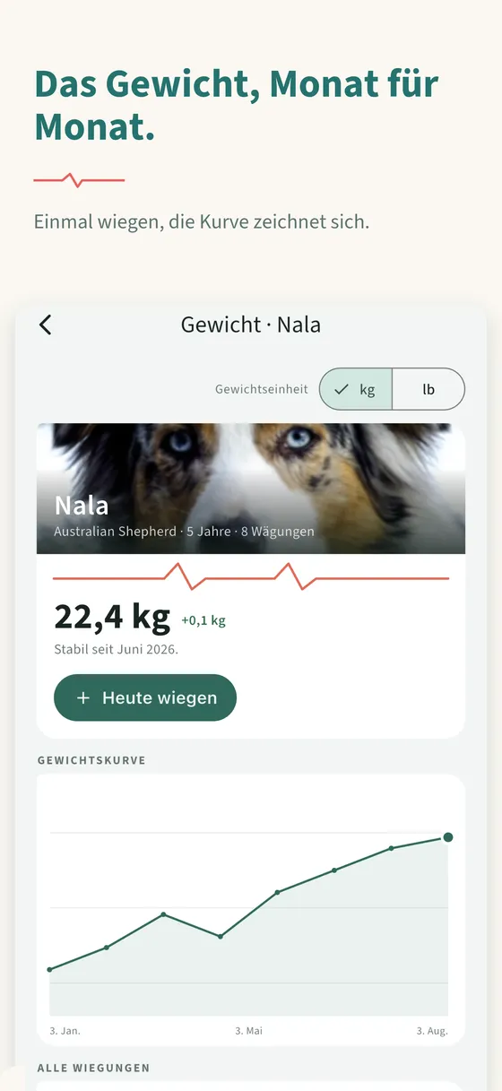 Tafel 4 — Das Gewicht, Monat für Monat.