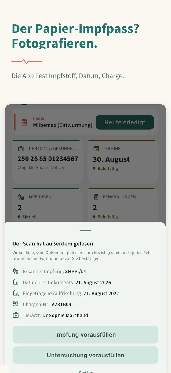 Tafel 5 — Der Papier-Impfpass? Fotografieren.