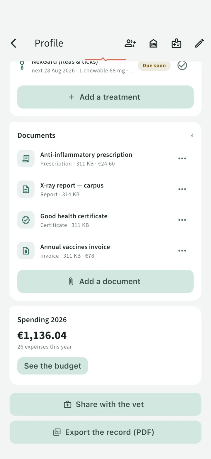 The record's documents: prescription, X-ray report, invoice and certificate, with their amounts linked to the budget