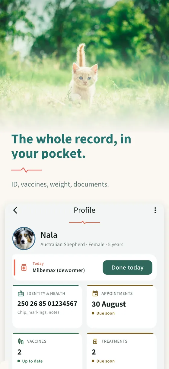 Panel 3 — The whole record, in your pocket.