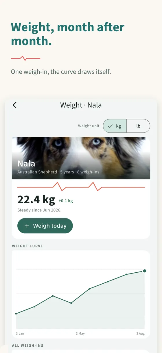 Panel 4 — Weight, month after month.