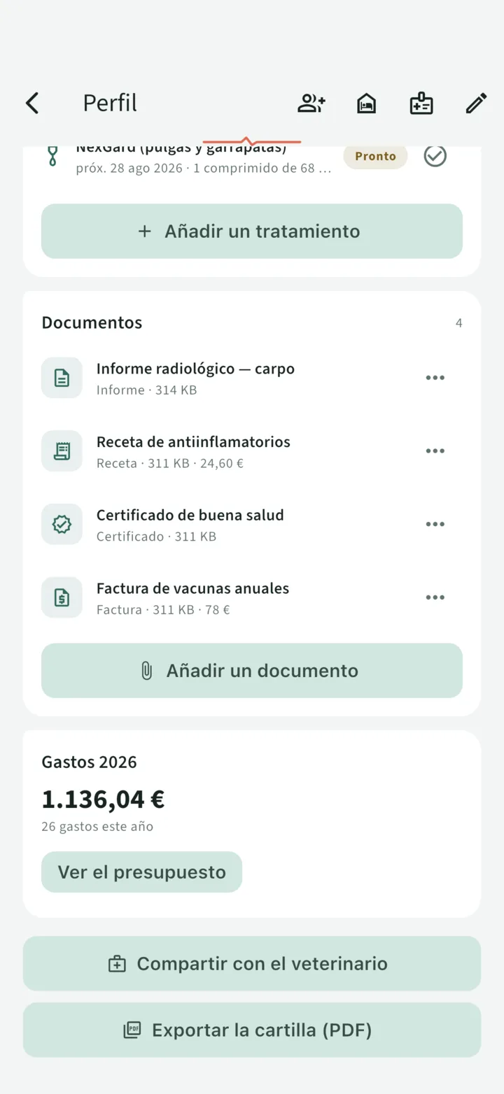 Los documentos de la cartilla: receta, informe de radiografía, factura y certificado, con sus importes ligados al presupuesto