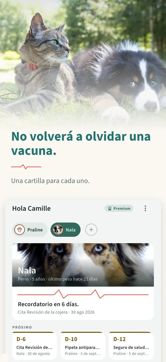 Panel 1 — No volverá a olvidar una vacuna.