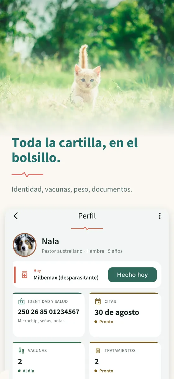 Panel 3 — Toda la cartilla, en el bolsillo.
