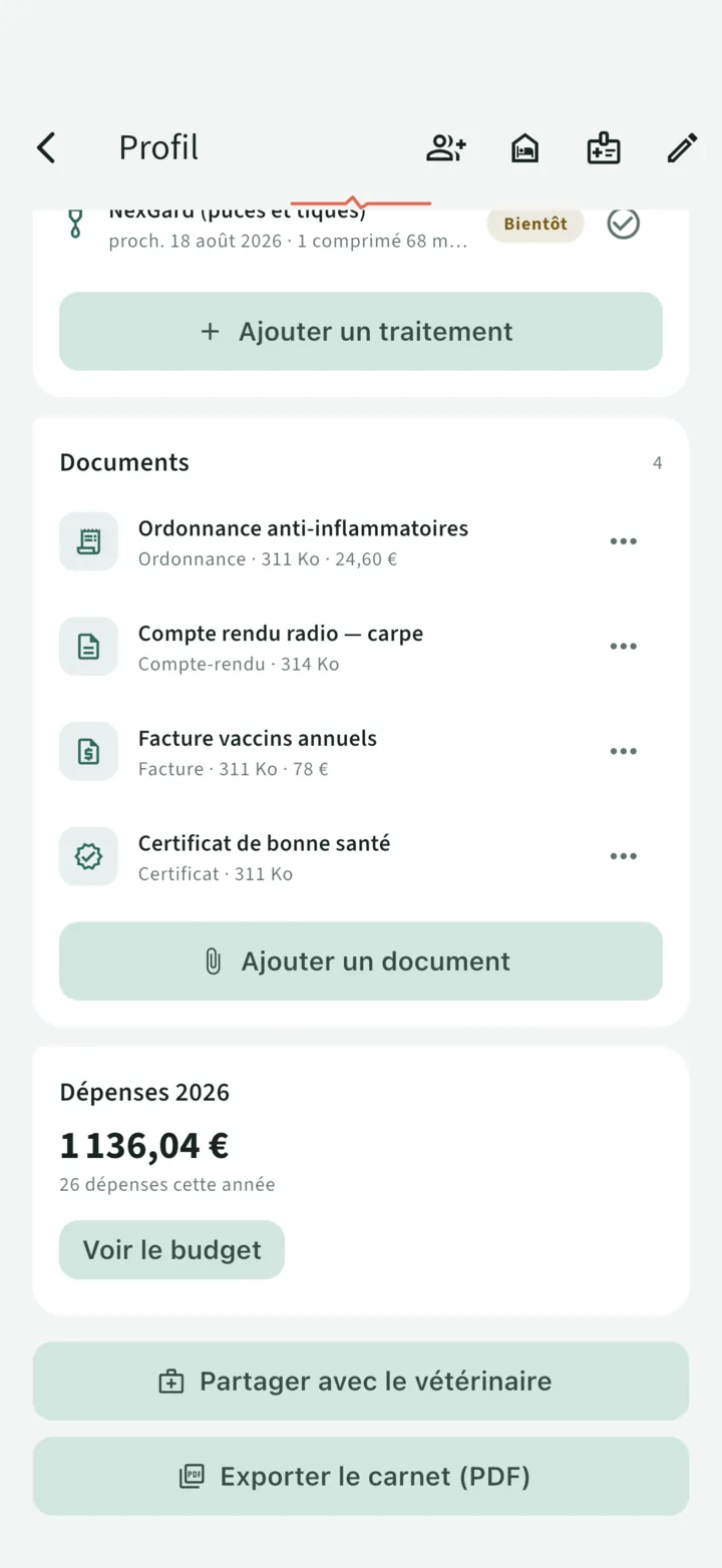 Les documents du carnet : ordonnance, compte rendu de radio, facture et certificat, avec leurs montants liés au budget
