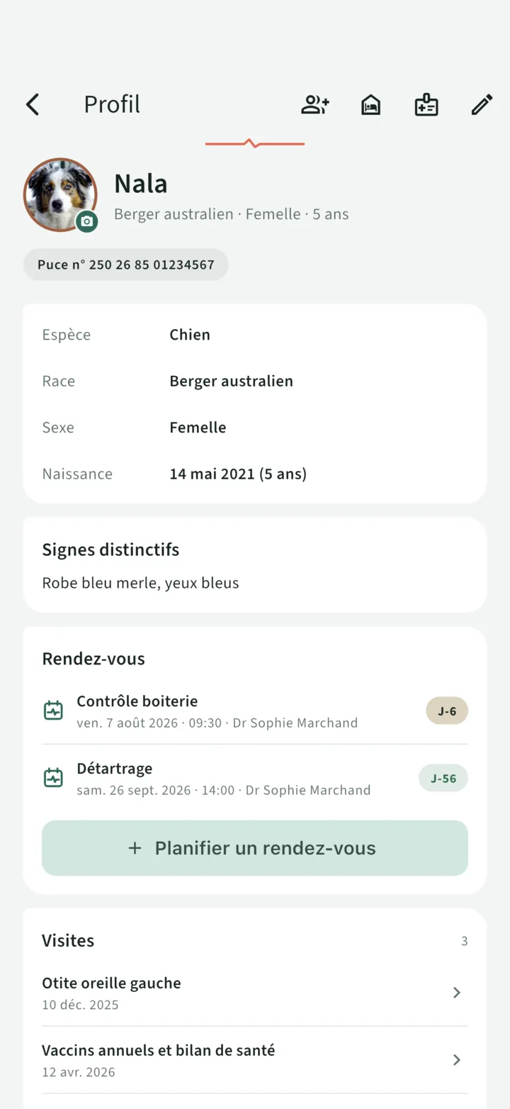 La fiche de Nala : sa photo, berger australien femelle 5 ans, numéro de puce, et les deux prochains rendez-vous vétérinaires