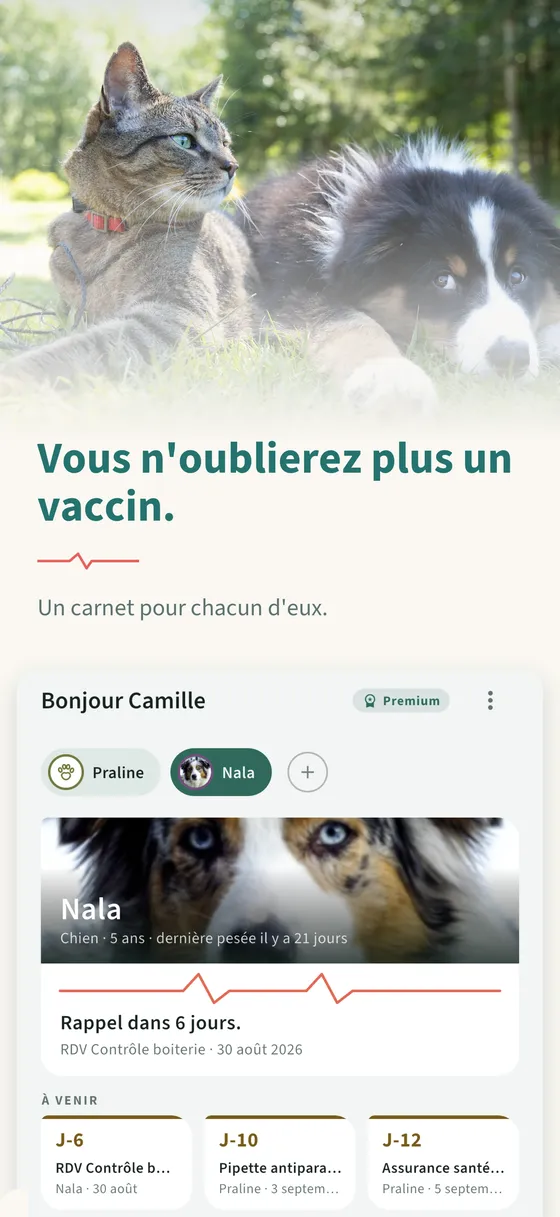 Planche 1 — Vous n'oublierez plus un vaccin.