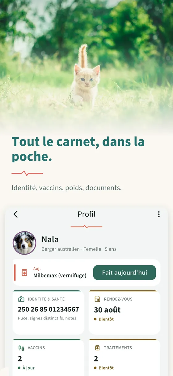 Planche 3 — Tout le carnet, dans la poche.