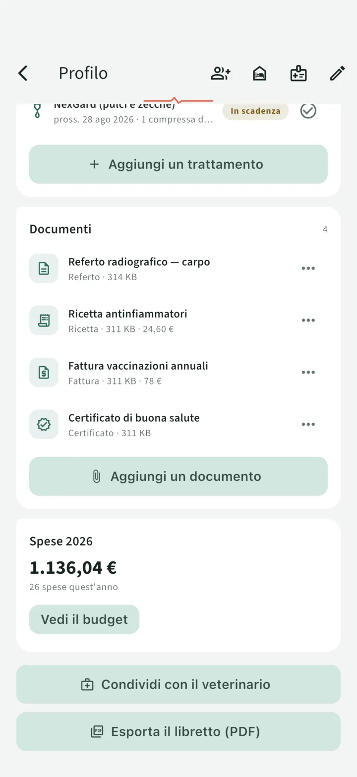I documenti del libretto: ricetta, referto radiografico, fattura e certificato, con i loro importi legati al budget