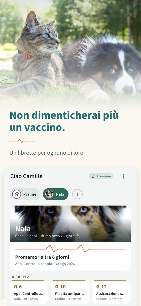 Pannello 1 — Non dimenticherai più un vaccino.