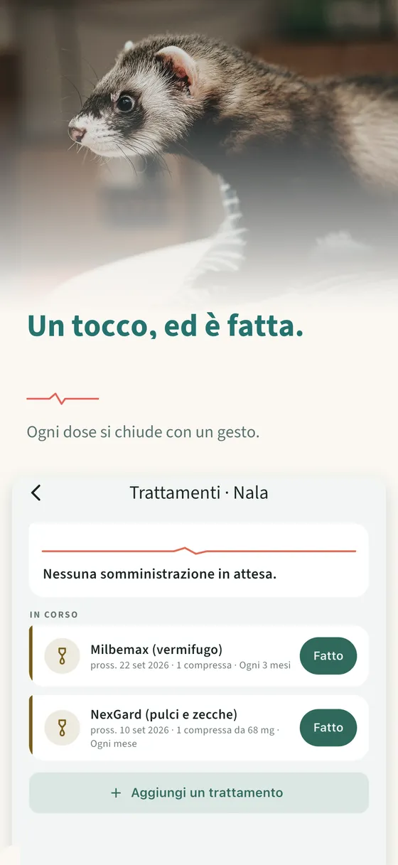 Pannello 2 — Un tocco, ed è fatta.