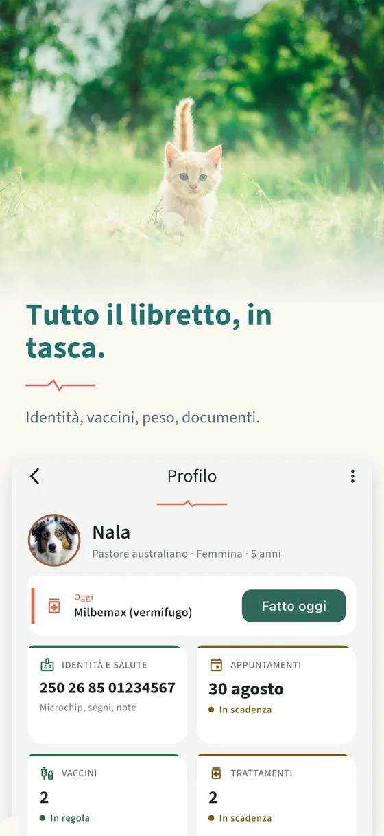 Pannello 3 — Tutto il libretto, in tasca.