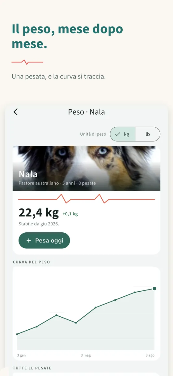 Pannello 4 — Il peso, mese dopo mese.