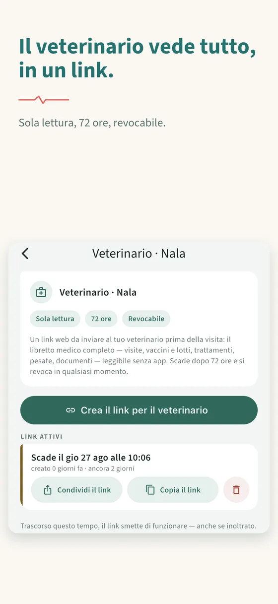 Pannello 7 — Il veterinario vede tutto, in un link.
