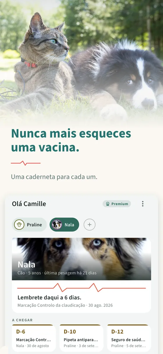 Painel 1 — Nunca mais esqueces uma vacina.