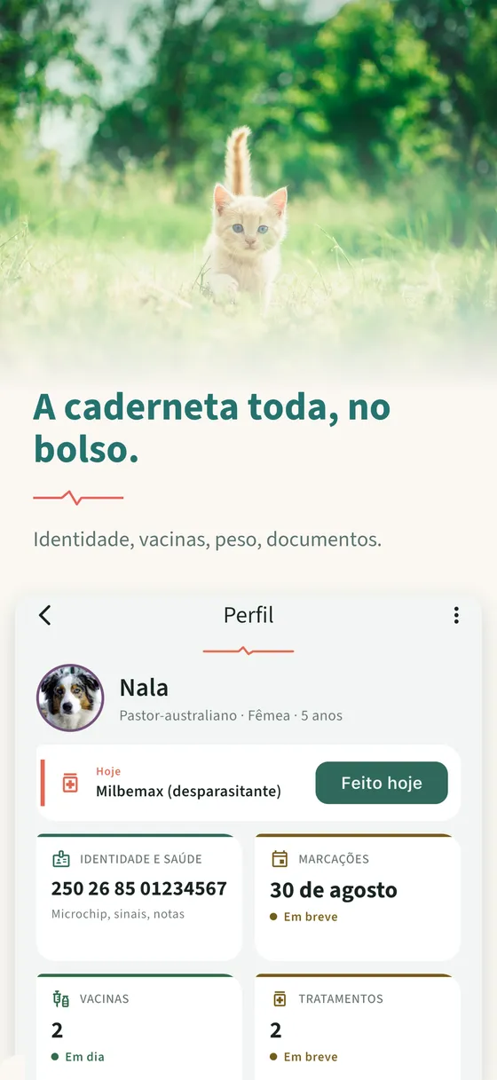 Painel 3 — A caderneta toda, no bolso.