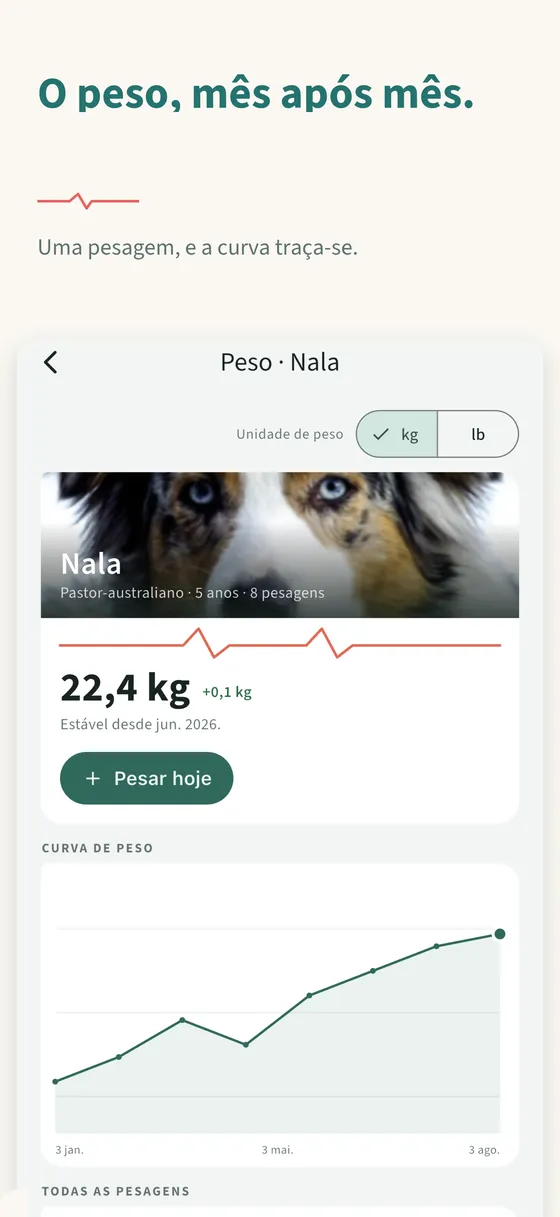 Painel 4 — O peso, mês após mês.